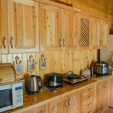 Guest House Suzirya Karpat Yaremche Exterior photo
